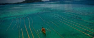 James Whitlow Delano Lagen Island, El Nido, Palawan, Philippines Better Moments workshop Pearl Fisherman