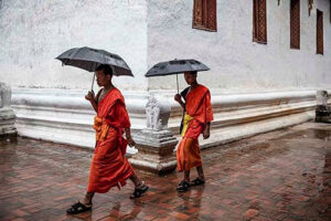 Two monks in orange robes walk in rain with umbrella in hand