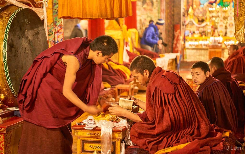Monks browsing chants, Tibet