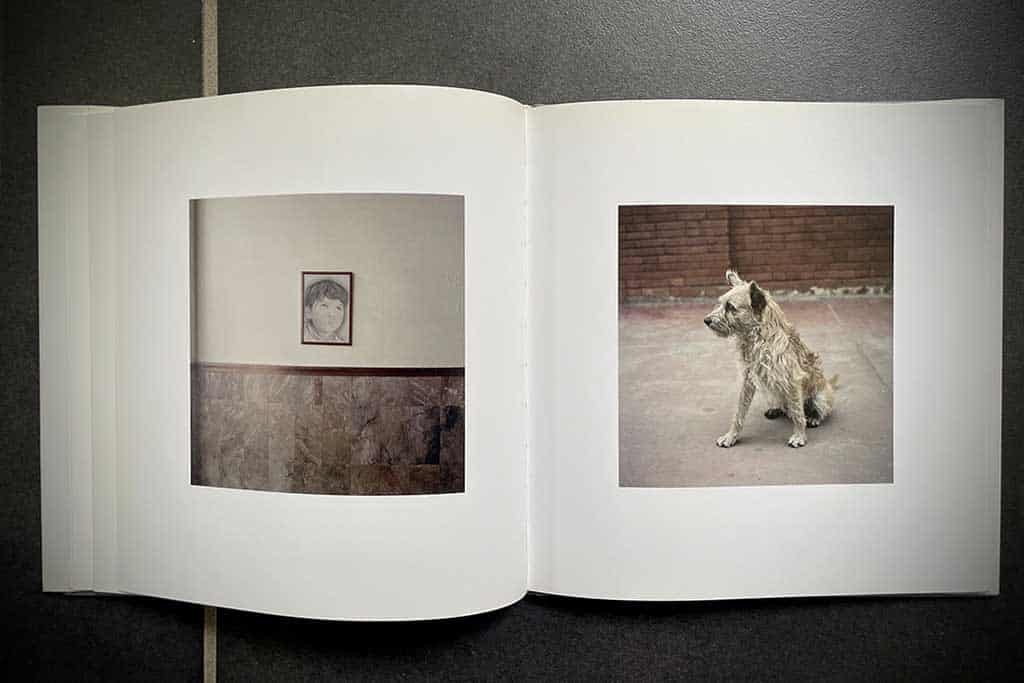 Dog Days Bogotá by Alec Sot
