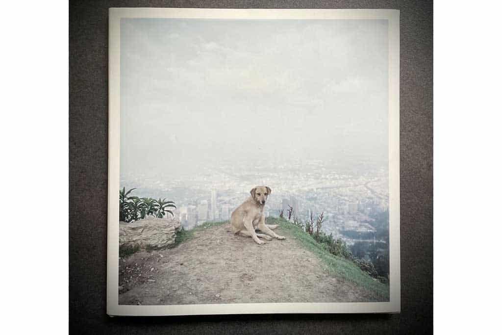 Cover Dog Days Bogotá by Alec Soth