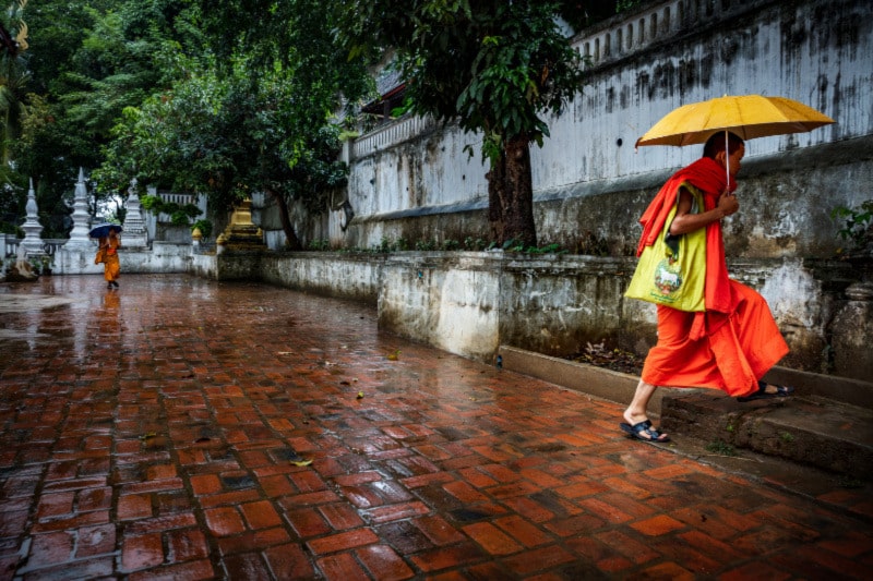 monk walking in the rain with an yellow umbrella - indochina workshop