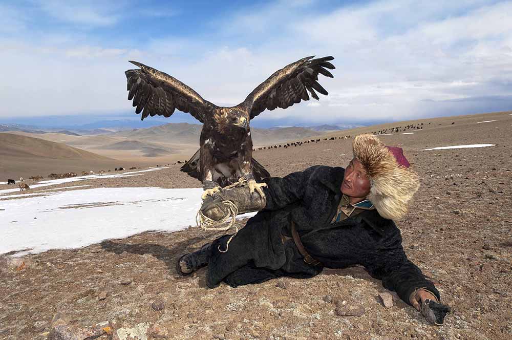 Kobesh, a kazakh shepherd takes time of from his flock to train with his hunting eagle. Deloun district, Olgii Province, Mongolia, 2010.