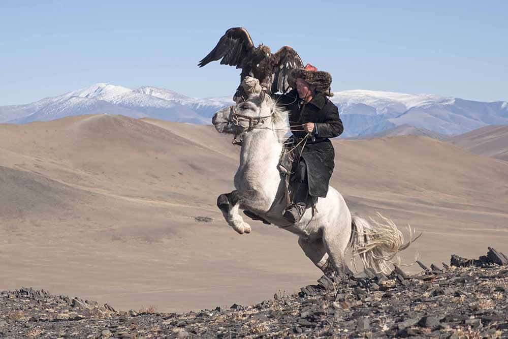 Better Moments Mongolia workshop - eagle hunter on horseback with eagle on his arm.